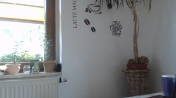 vland510  08-07-2021 Recorded Video Download
